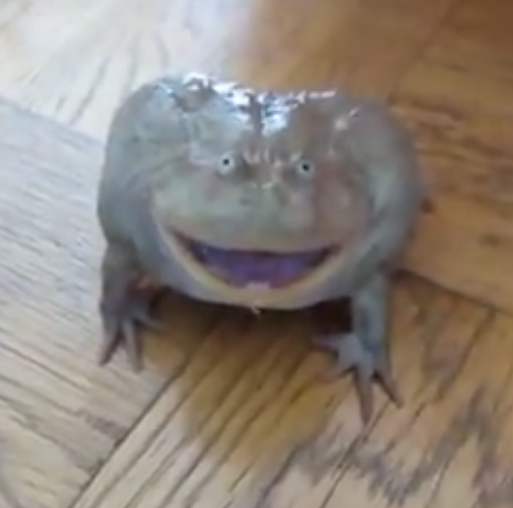 Не хватает памяти screaming frog